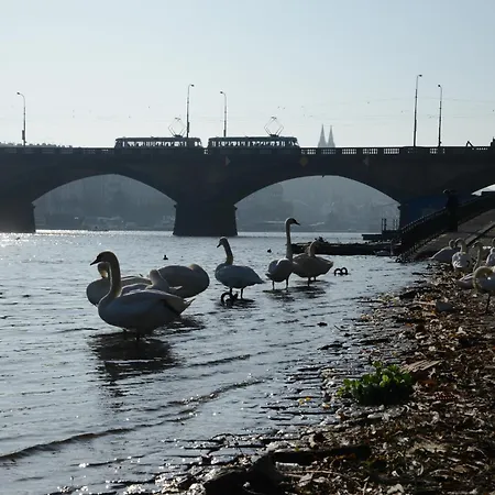 Quiet In The Old Town شقة براغ